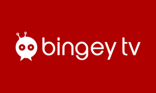 bingey_tv_art