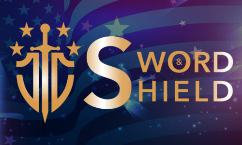 sword_&_shield_tv_art